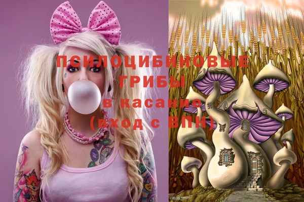 метадон Богородицк